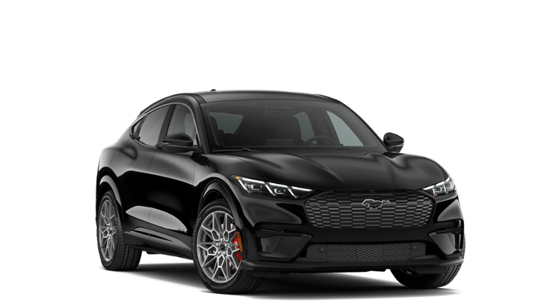 Mustang Mach-E® vehicle
